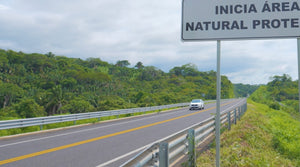 Inauguración de la Autopista Jala-Cruz de Huanacaxtle