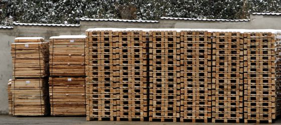 Muebles que conservan bosques