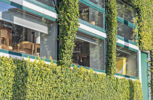 La administración ineficiente está costando millones al Real Estate