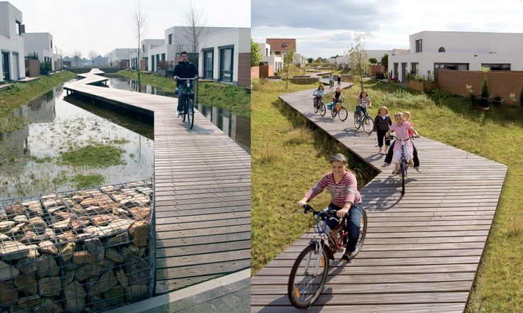 Ecomimicry: the nature-inspired approach to design that could be the antidote to urban ‘blandscapes’