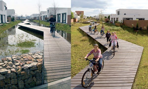 Ecomimicry: the nature-inspired approach to design that could be the antidote to urban ‘blandscapes’