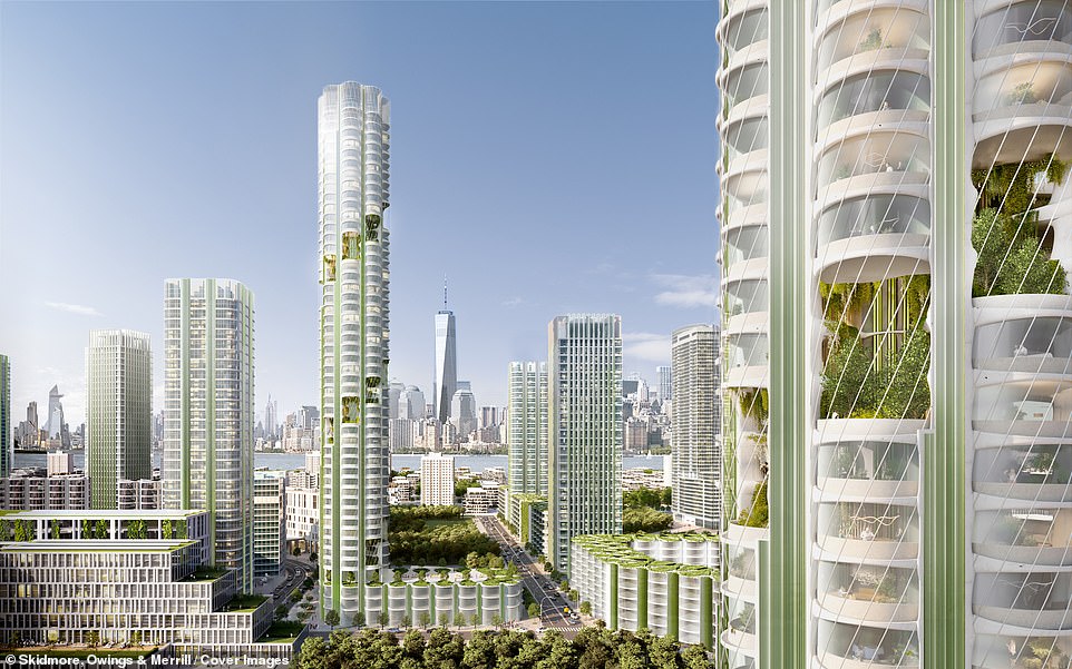 Skyscrapers of the future? US architects reveal designs for high-rise buildings dubbed 'Urban Sequoias'