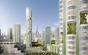 Skyscrapers of the future? US architects reveal designs for high-rise buildings dubbed 'Urban Sequoias'