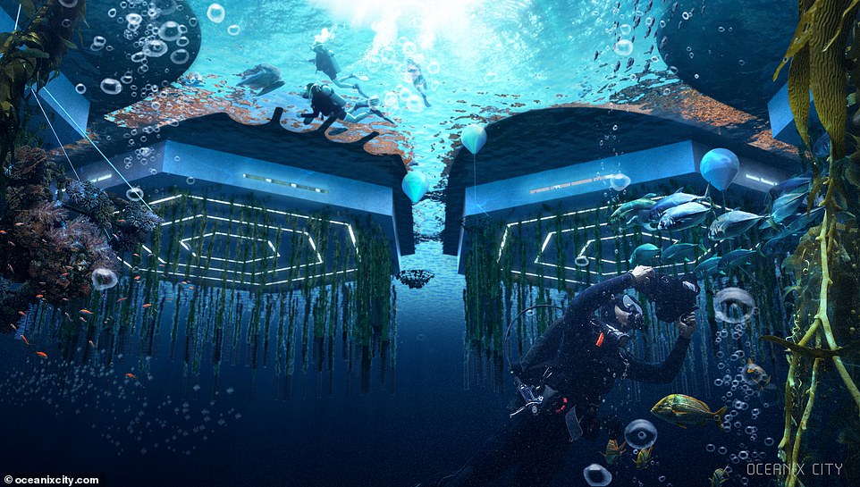 World's first FLOATING CITY! Flood-proof Oceanix