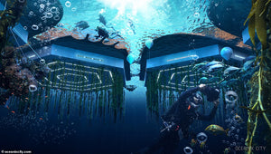 World's first FLOATING CITY! Flood-proof Oceanix