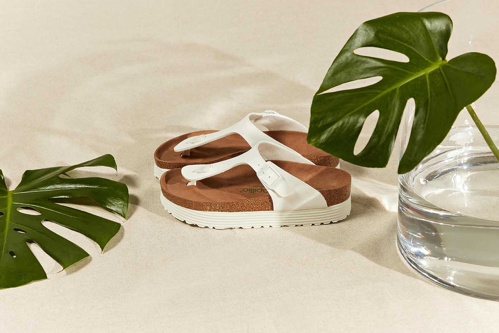 Birkenstock se unirá a la reforestación de los bosques de Oaxaca