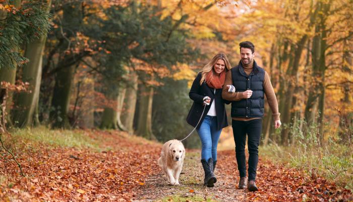 Tendencias de renta para parejas sin hijos