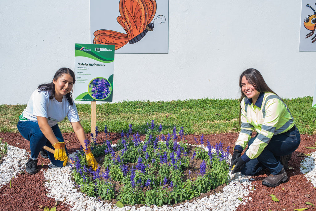 JÓVENES TRANSFORMAN LA VIDA DE ECOSISTEMAS EN MÉXICO