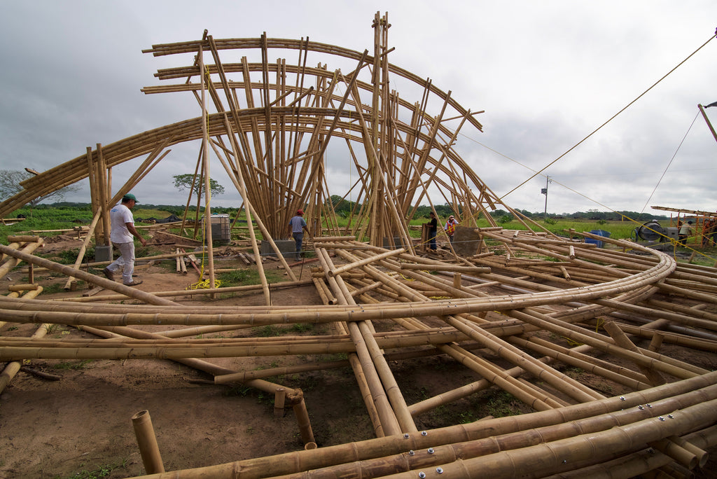 Arquitecta mexicana realiza manual de construcción en bambú