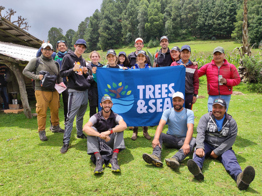 CHARLY Y PLASTIC OCEANS UNEN ESFUERZOS PARA LA REGENERACIÓN DE BOSQUES EN EL FESTIVAL TREES & SEAS