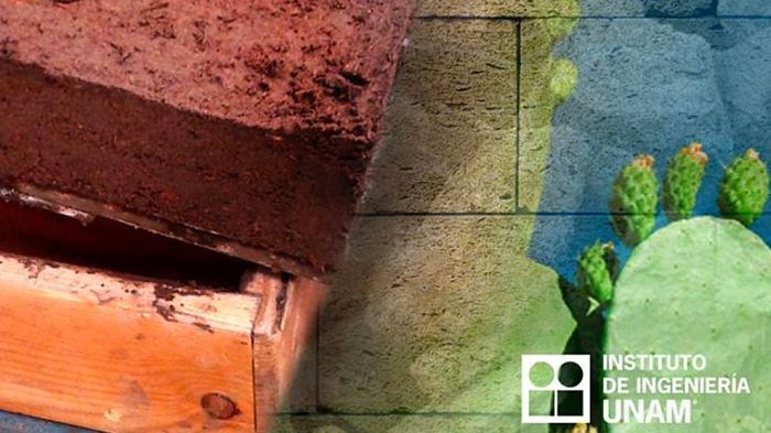 Ingenieros de la UNAM crean ecoladrillos