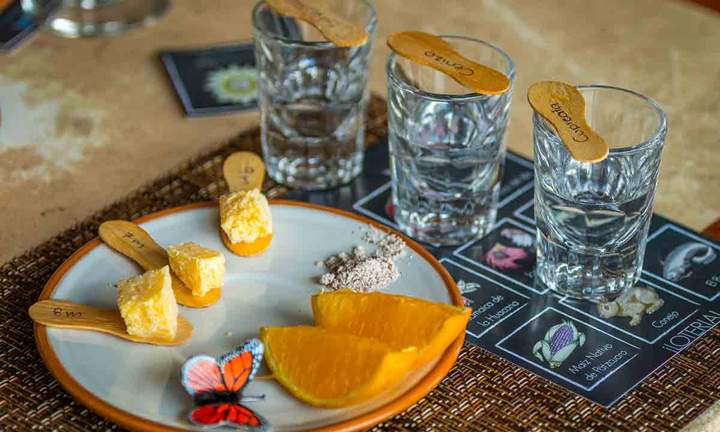 ¿Buscas algo único y divertido? Vive ecoturismo y mezcal en una Ruta por Michoacán