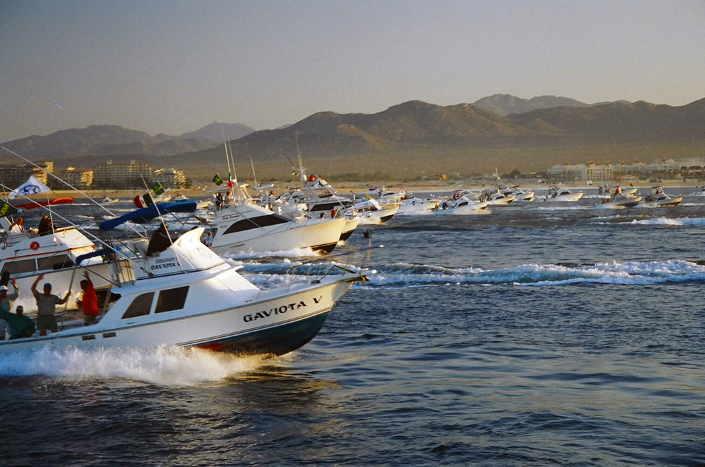 12 imperdibles experiencias para disfrutar en Los Cabos durante 2023