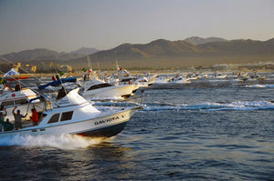 12 imperdibles experiencias para disfrutar en Los Cabos durante 2023