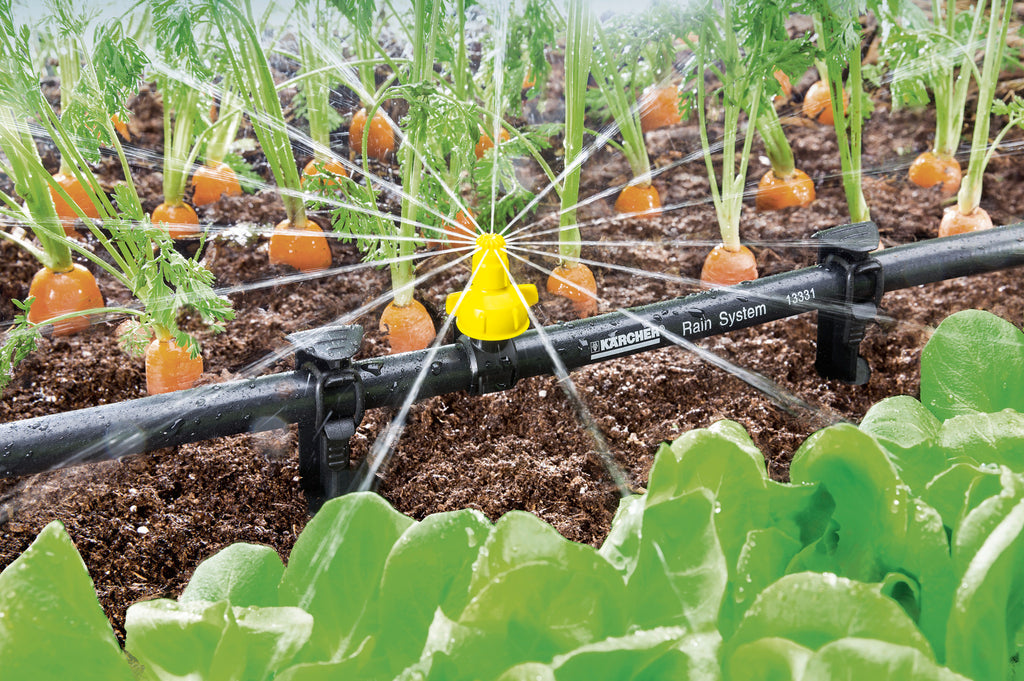 Consejos para regar el jardín con agua de lluvia