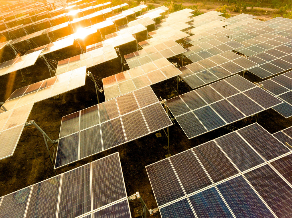 Trivia: Gana un Panel Solar con Solarever