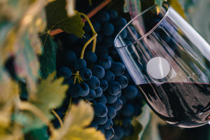 Pozo de Luna pone el alto el nombre de México: Syrah 2016 gana la Medalla de Oro en el Concours Mondial de Bruxelles