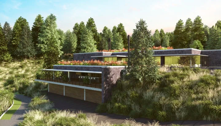 Cumple tus propósitos de Año Nuevo