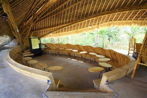 Aumenta uso de Bambú en sector de construcción