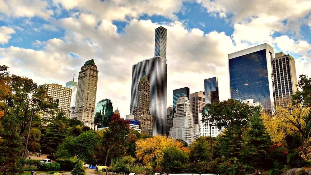 Imitar a la naturaleza para evitar inundaciones en las ciudades