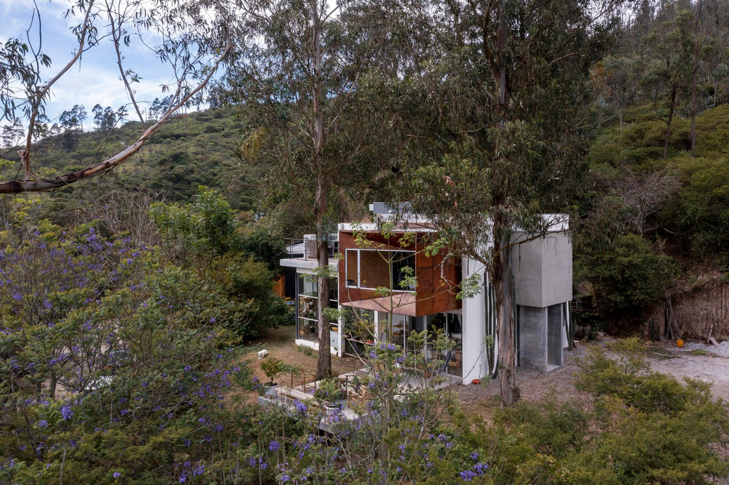 Expansión oblicua / DHZ arquitectura