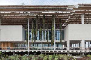 HERZOG & DE MEURON Pérez Art Museum Miami