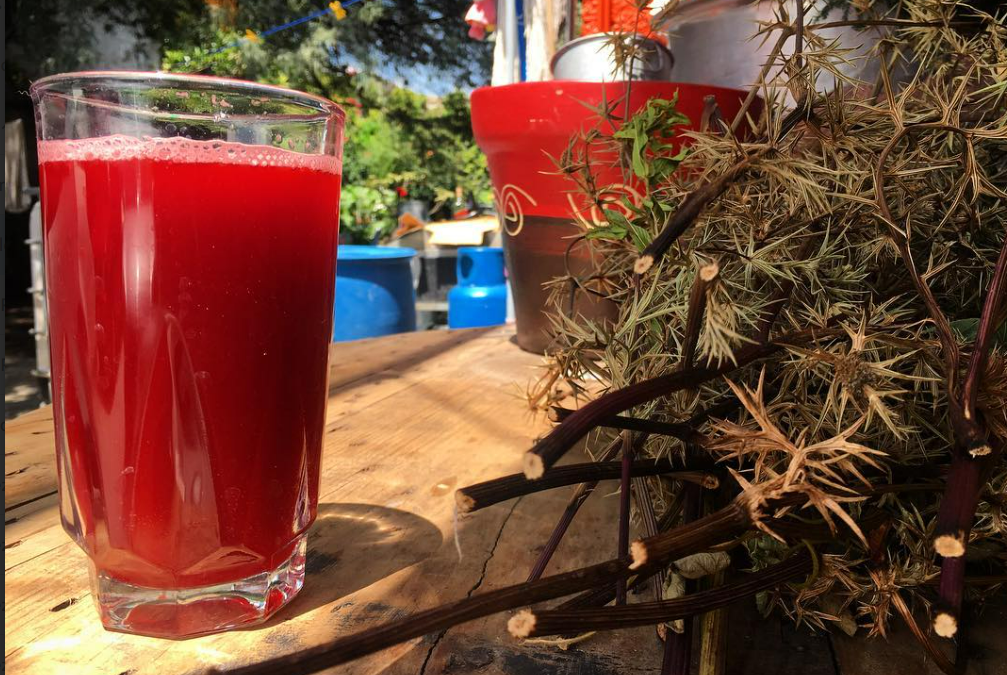 ¿Calor? Refréscate con las bebidas más tradicionales de Zacatecas
