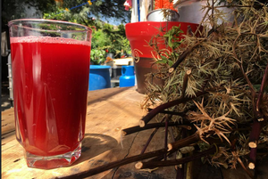 ¿Calor? Refréscate con las bebidas más tradicionales de Zacatecas
