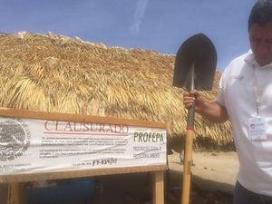 Profepa clausura la construcción de casa de campo en Choix