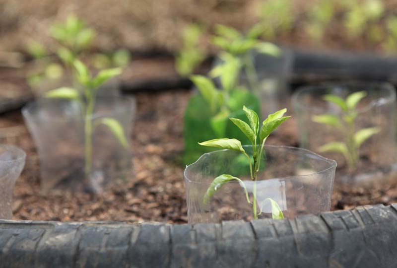 Building Materials – A Hidden Heavyweight for Climate Action
