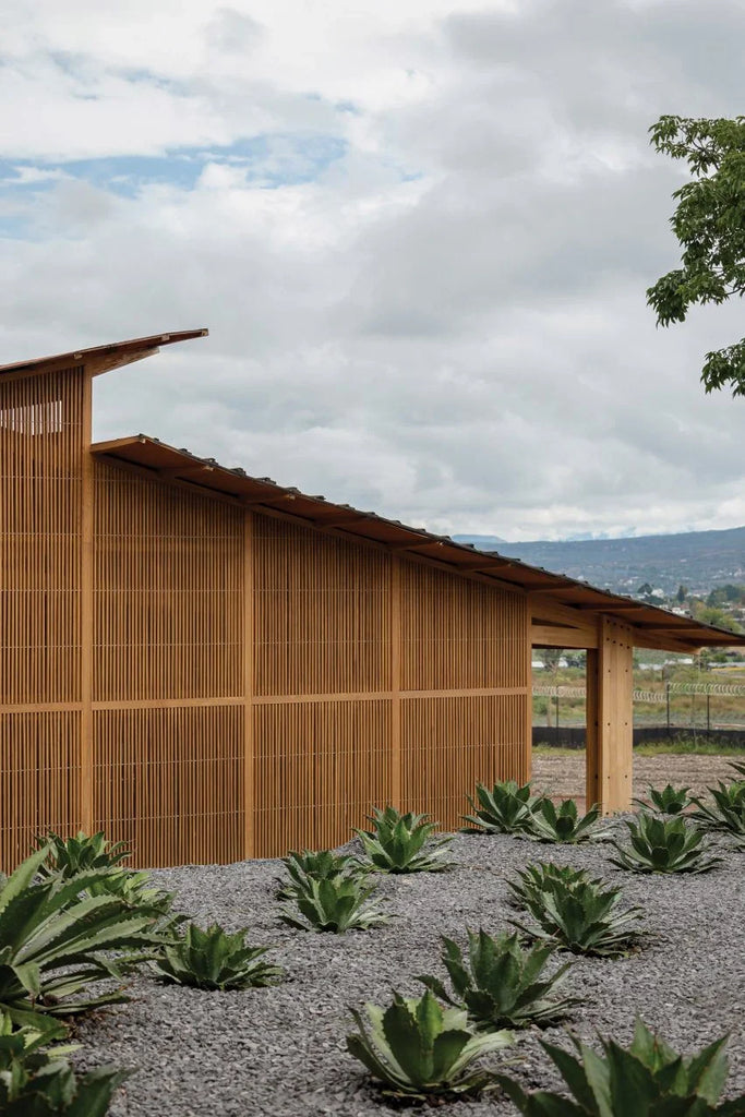 ¡Salud! Estudio ALA Agranda Destilería de Mezcal en México: ¡Arquitectura que te Pone Alegre!