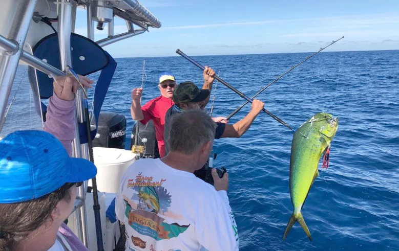Embárcate en los mejores torneos de pesca deportiva en La Paz, Baja California Sur