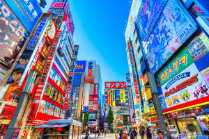 Cuatro formas de disfrutar Japón y conocerlo al máximo