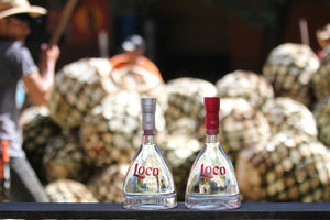Loco Tequila te invita a conocer su compromiso sostenible