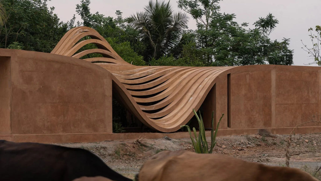 Stairway to Heaven (or Just the Roof!): The "Elegant" Ascent That's Got Everyone Talking!